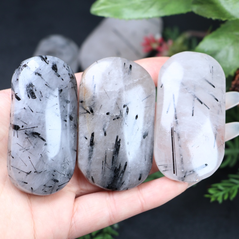 1pc Natural Decorative Palm Ra - đánh giá và giá Office Furniture In China